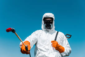 Best Pest Control for Restaurants and Food Service  in Rainsville, AL